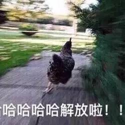 讽刺女人不洁身自好,抨击水性杨花的女人