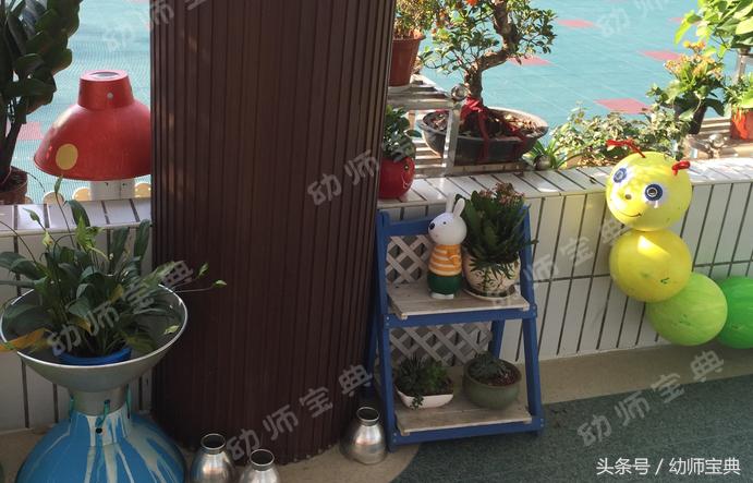 自然角创设分布图,自然角布置幼儿园
