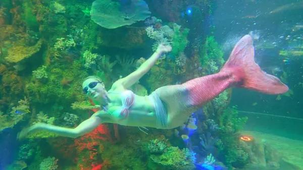 杭州自助餐厅排行榜前十名海鲜,杭州自助餐厅排行榜前十名