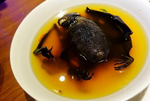 史上十大最恶心的食物,十种致命奇葩食物