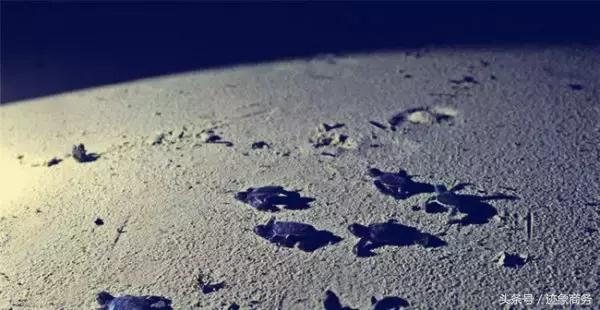 十个海岛,10个海岛