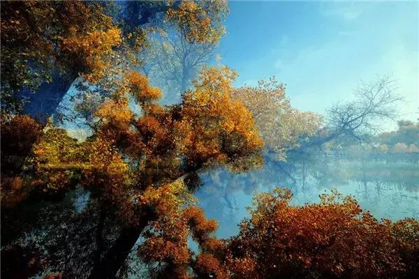 三千年的情缘，三千年的企盼只为这一季的金秋（附攻略）