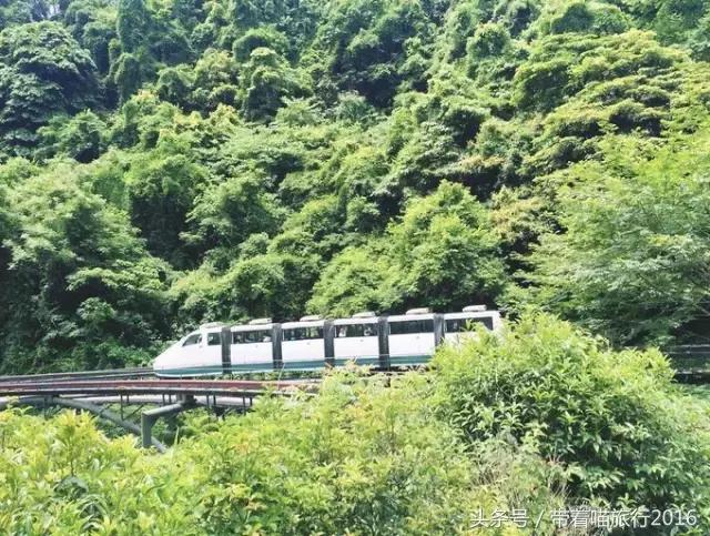 游浙江宁波奉化溪口雪窦,奉化溪口雪窦景区