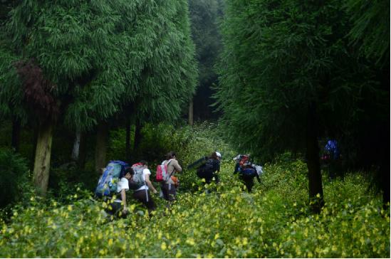 成都周边爬山最佳徒步攻略自由行,成都周边小众徒步冬季景点