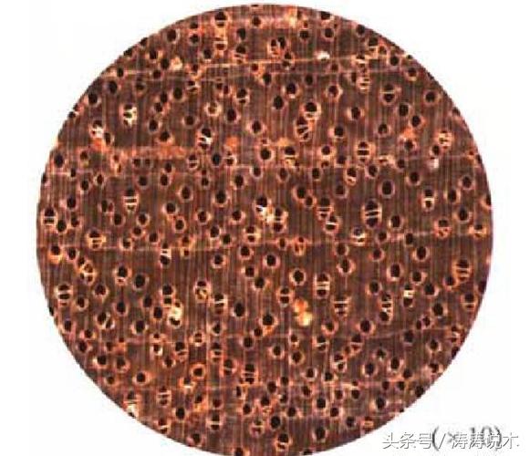 识木料,识木头后续