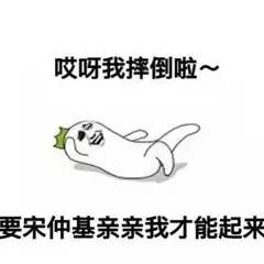 铁打的老板流水的男友原视频,铁打的商家流水的男朋友