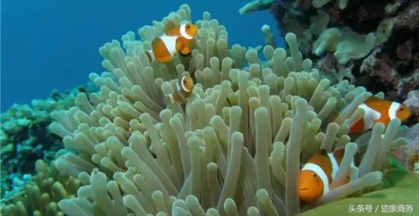 这十个海岛随便选一个都能让你着迷