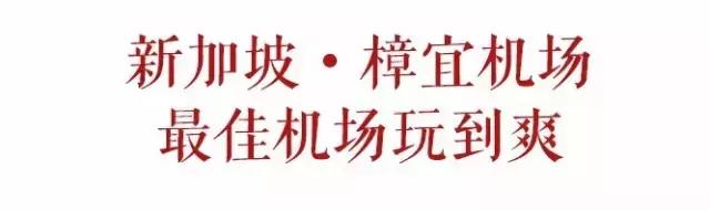 关西机场必买伴手礼,上海机场伴手礼必买清单