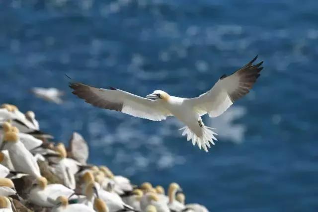 尼康d850点测光技巧,尼康d850价格曲线图