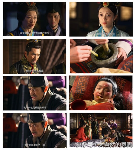 七叶一枝花有什么作用和功效,七叶一枝花