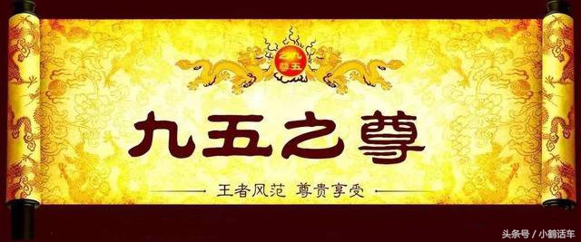 九五之尊牌照,各地车牌九五之尊