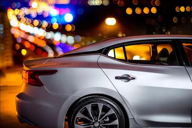 西玛是匹什么马,它跑的快吗?