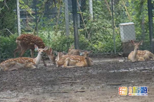 京城最大郊野公园，不仅免费，还藏了好多不为人知的秘密！