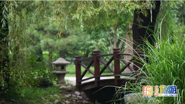 京城最大郊野公园，不仅免费，还藏了好多不为人知的秘密！