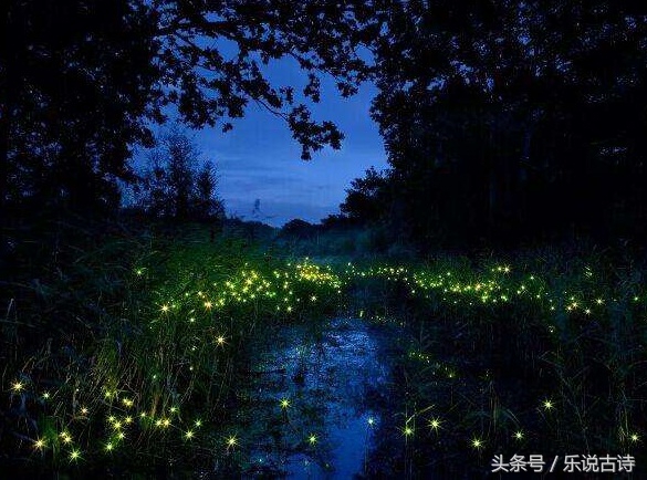 七夕卧看牵牛织女,卧看牵牛织女星天阶夜色凉如水