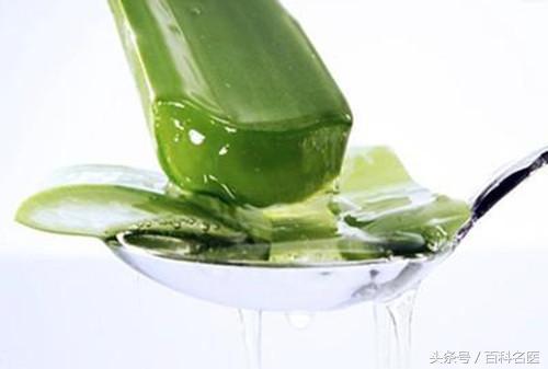 芦荟的十大作用,都不知道的芦荟妙用