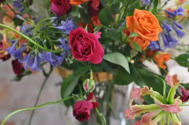 七夕节叫你送花你就去拿吧,微信公众号送花怎么弄