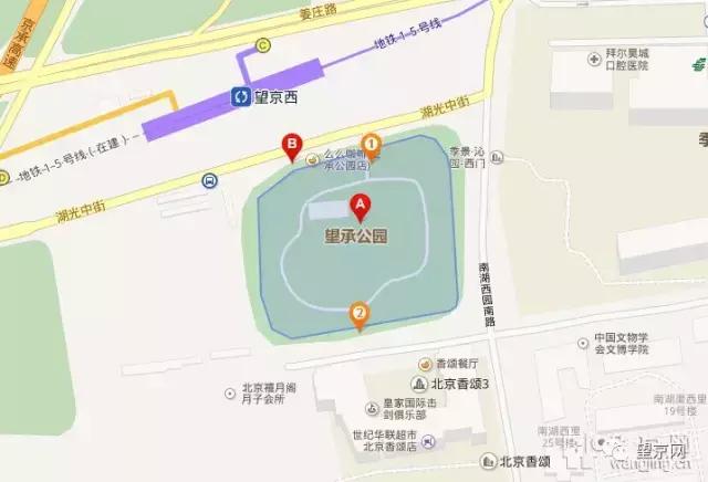 厚积薄发银杏,望京公园和大望京公园哪个好