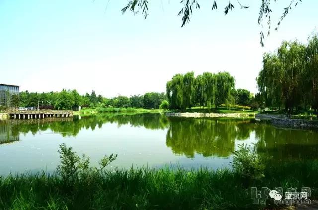 望京公园的现状,厚积薄发中海
