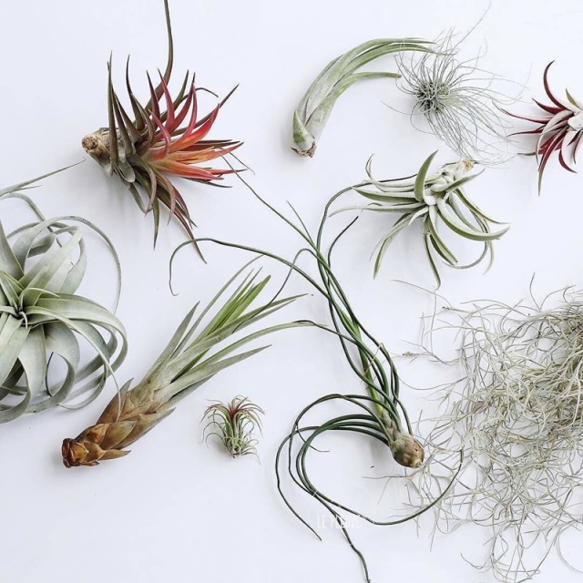 淘宝装修精美的店铺推荐,装修类淘宝店铺推荐