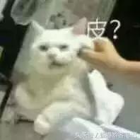 去香港和去日本哪个便宜,去香港和日本哪里便宜