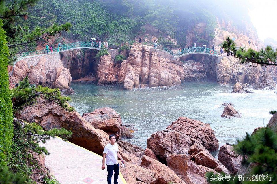 荣成烟墩角天鹅拍摄机位,世界最大天鹅