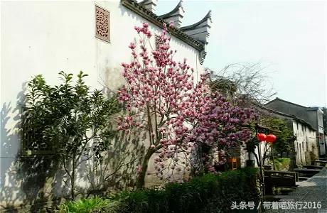 宁波象山石浦渔港古镇,宁波象山石浦古镇视频