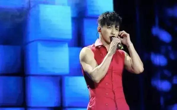 那些年追过的台湾男偶像,台湾偶像组合