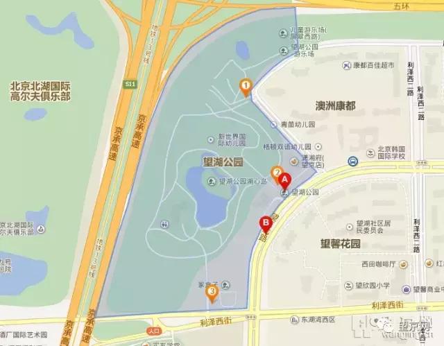 厚积薄发银杏,望京公园和大望京公园哪个好