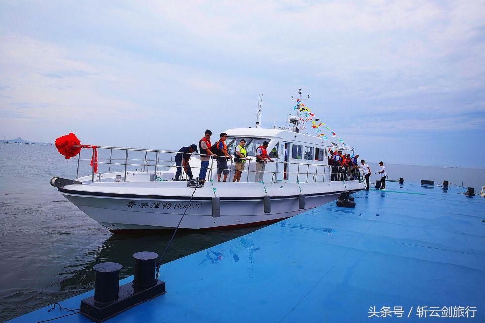 荣成烟墩角天鹅拍摄机位,世界最大天鹅