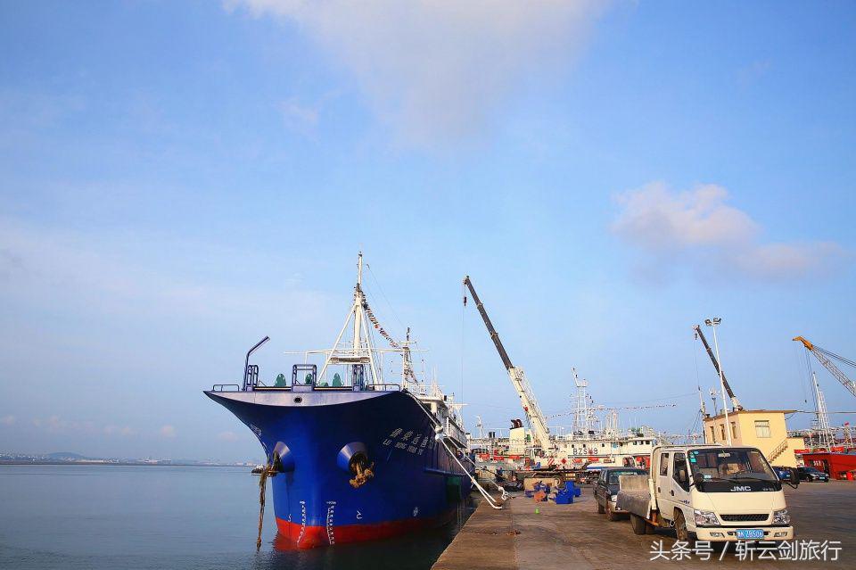 荣成烟墩角天鹅拍摄机位,世界最大天鹅