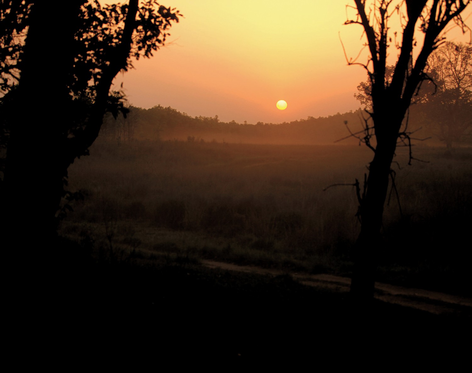 150年后，再次追寻「森林王子」的足迹