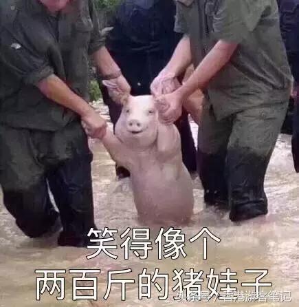 去香港和去日本哪个便宜,去香港和日本哪里便宜