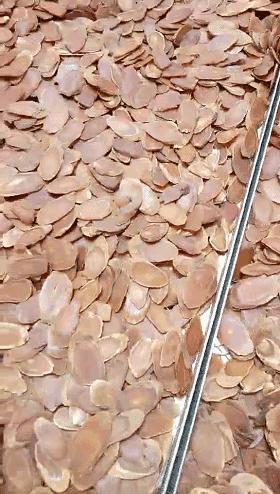 万良人最新行情,万良人