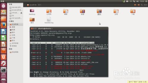 U盘失误格式化咋办？Ubuntu免费数据恢复Testdisk