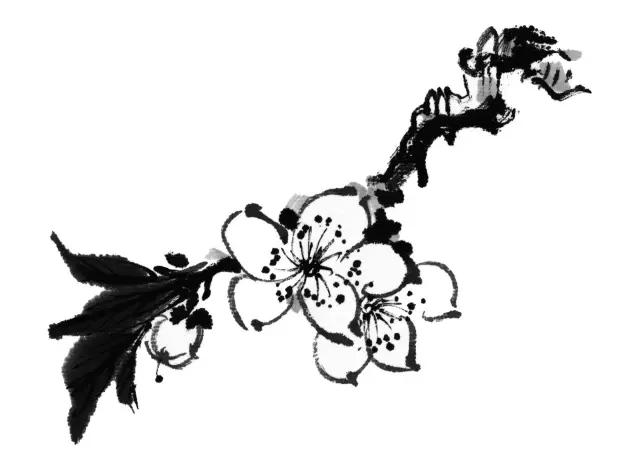 惊！陈武帝宫居然八月梅开