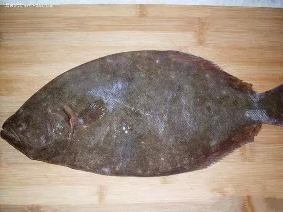 羊口开海！倒计时一天！第一网吃起来！看完哈喇子流一地