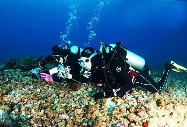 爱上邮轮的十个理由,爱上潜水的理由