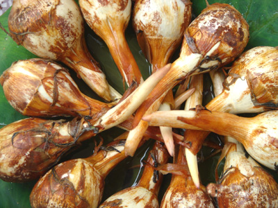 中国特有的蔬菜,中国特有蔬菜水果