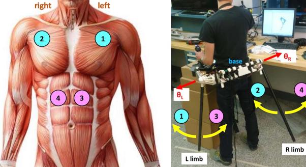 给身体加多两只「钢铁手」，你会如何使用？