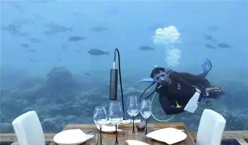 最吃香的酒店职业,如何选择一个好的酒店工作