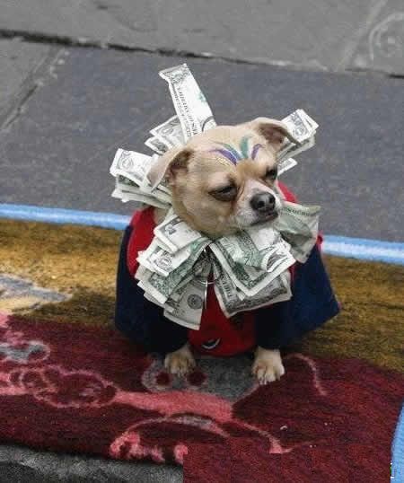 大姐，咱不聊了行吗