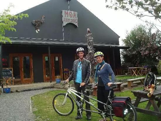 新西兰进口恩之普精酿啤酒,新西兰精酿啤酒生意