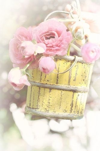 栗子姐每日情感问答,栗子姐经典情感问答