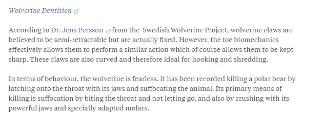 动物世界平头哥狼獾高清,狼獾和平头哥搏斗视频