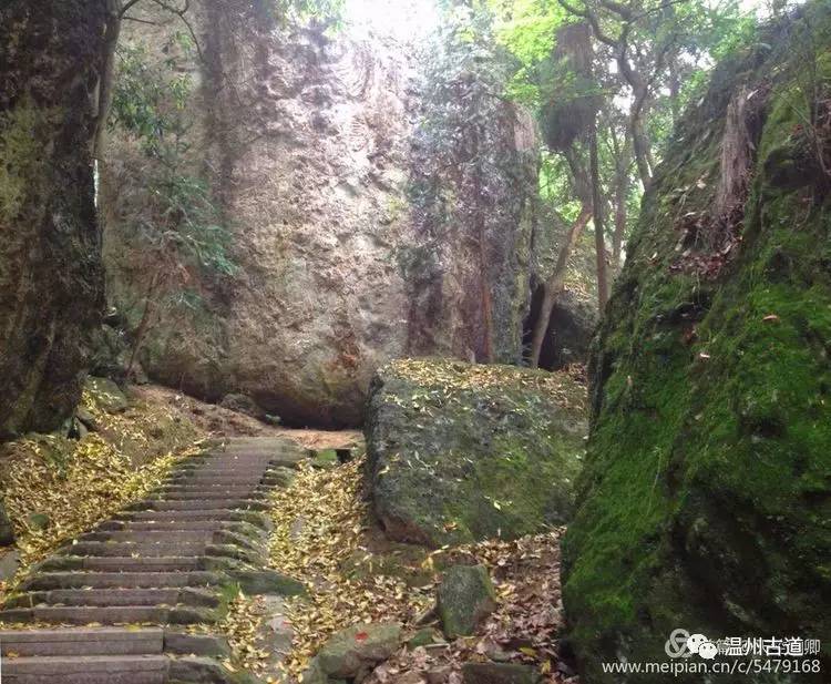 乐清白石凤凰山在哪,乐清白石山上好玩的地方