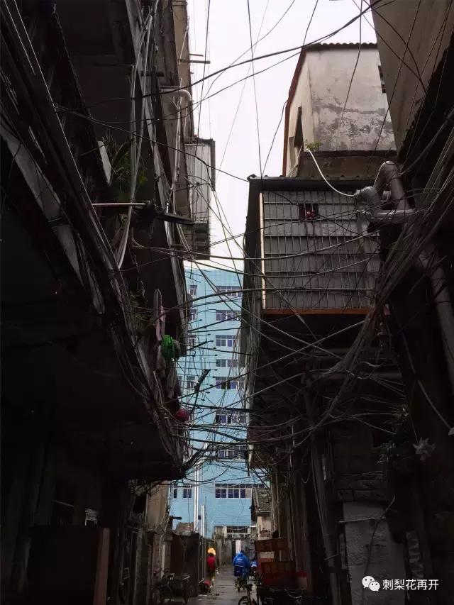 鍐嶈鍘﹂棬绂忓缓涔嬭,鍘﹂棬楣矝涔嬭