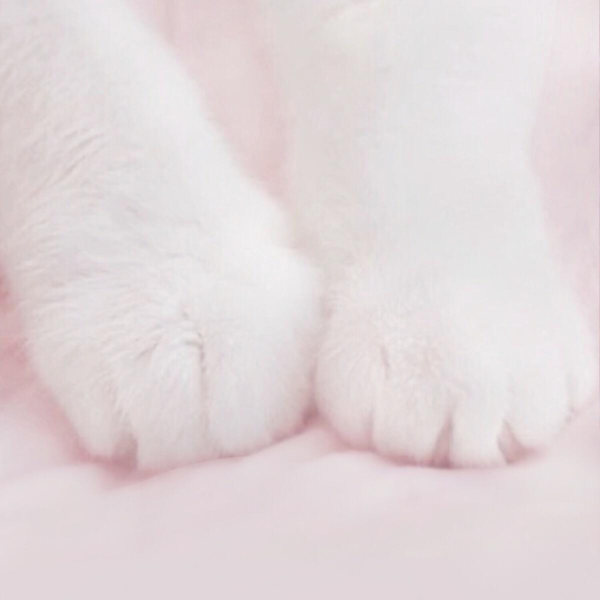 微信相册封面图片大全,微信相册封面图是什么