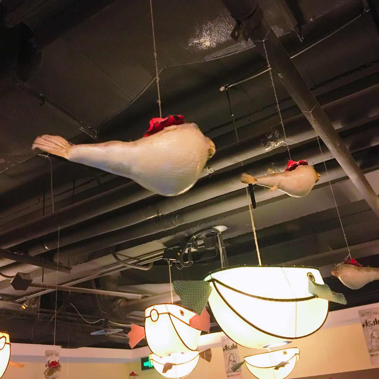 天正河豚,天正河豚广东