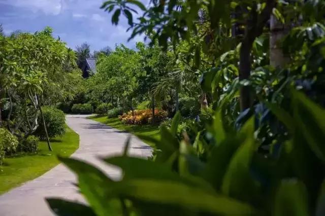 海南香水湾君澜度假酒店的位置,香水湾君澜度假酒店附近有什么